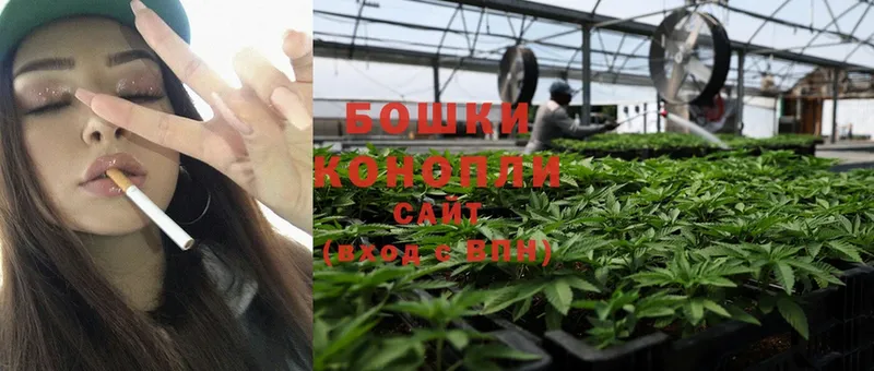 что такое   Вуктыл  блэк спрут зеркало  Бошки марихуана OG Kush 